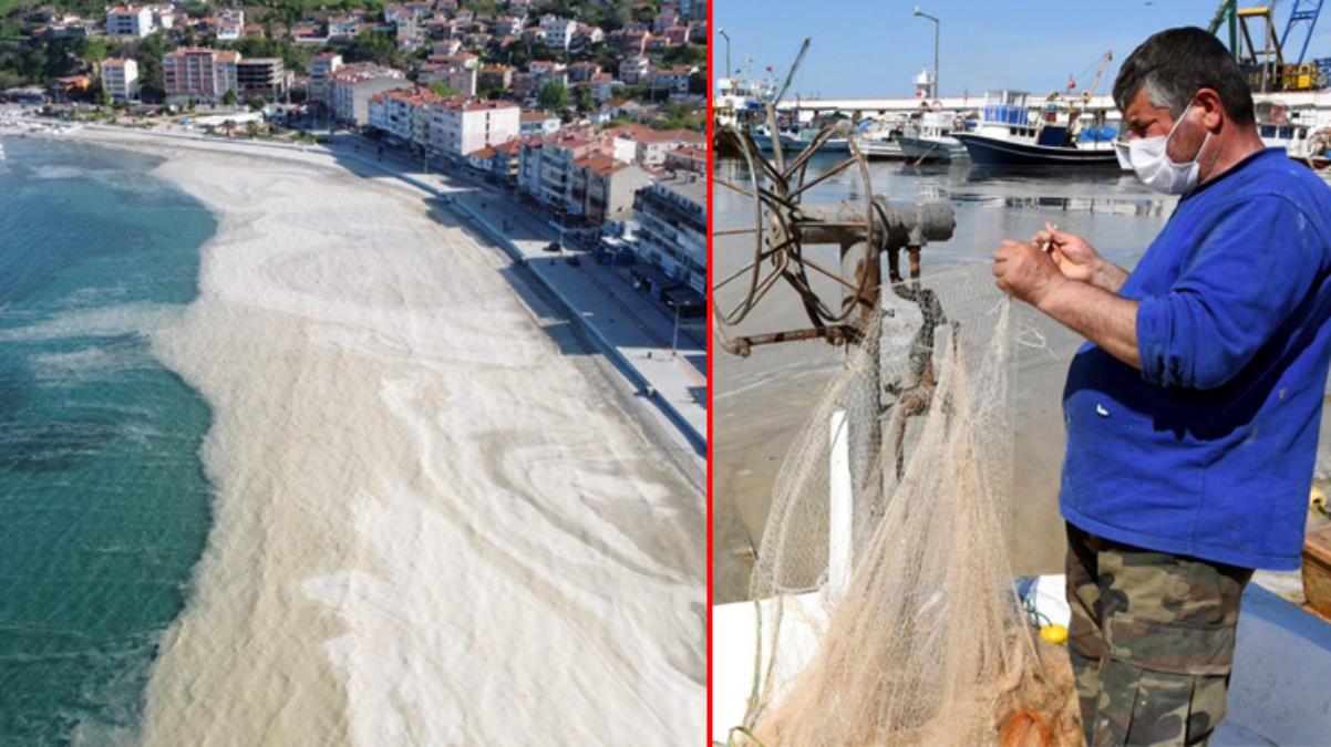 Deniz salyası kabusu bu kez Tekirdağ sahillerinde görüldü! Avlanmaya çıkan balıkçıların ağları yırtıldı