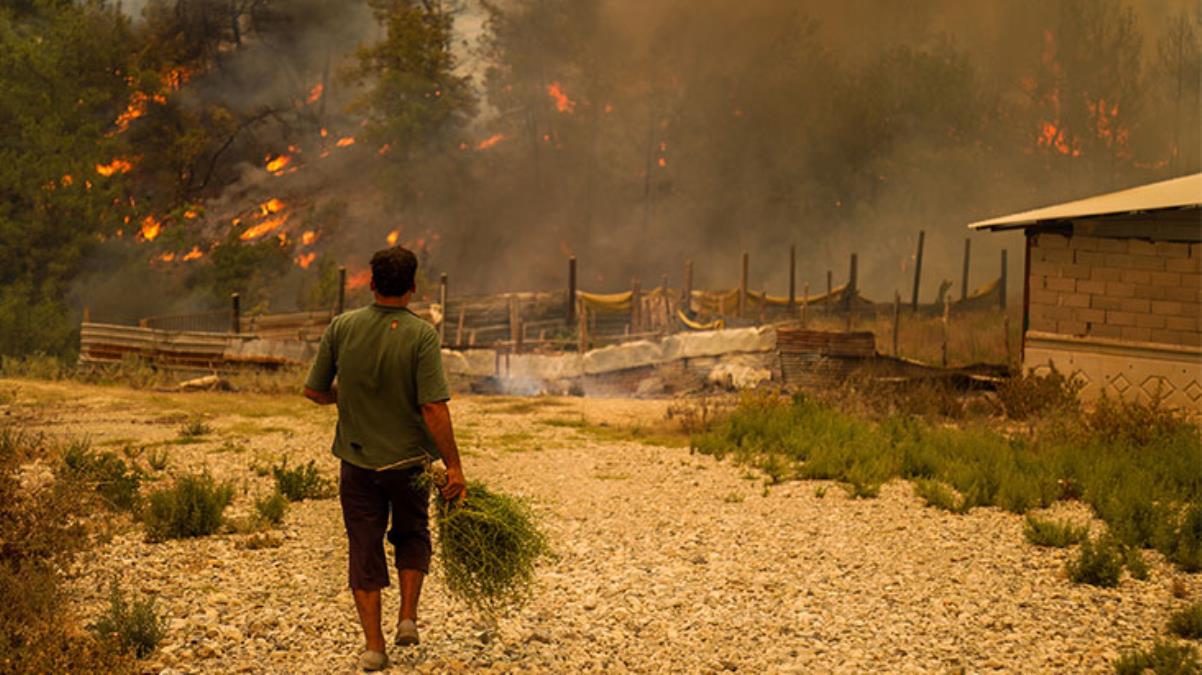 Ekoloji Uzmanı Prof. Dr. Neyişçi: Tarım arazilerini yangından kurtarmak, koruyucu şeritlerle mümkün