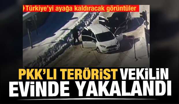 PKK'lı terörist HDP'li milletvekilinin evinde yakalandı