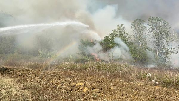 Son dakika... Samsun’da orman yangını... 4 noktadan müdahale ediliyor