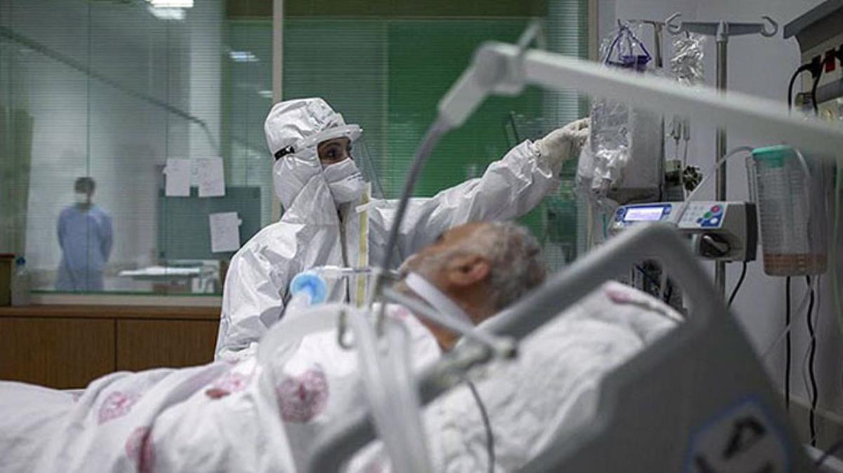 Son Dakika: Türkiye'de 12 Mayıs günü koronavirüs nedeniyle 232 kişi vefat etti, 13 bin 29 yeni vaka tespit edildi