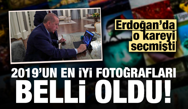 AA '2019 yılının en iyi fotoğrafları' belli oldu!