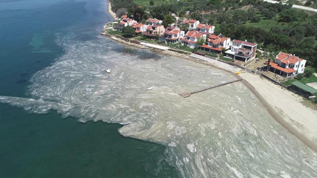 Asıl şimdi yandık! Deniz salyası, virüsü yayıp hastalıkların artmasına neden olabilir