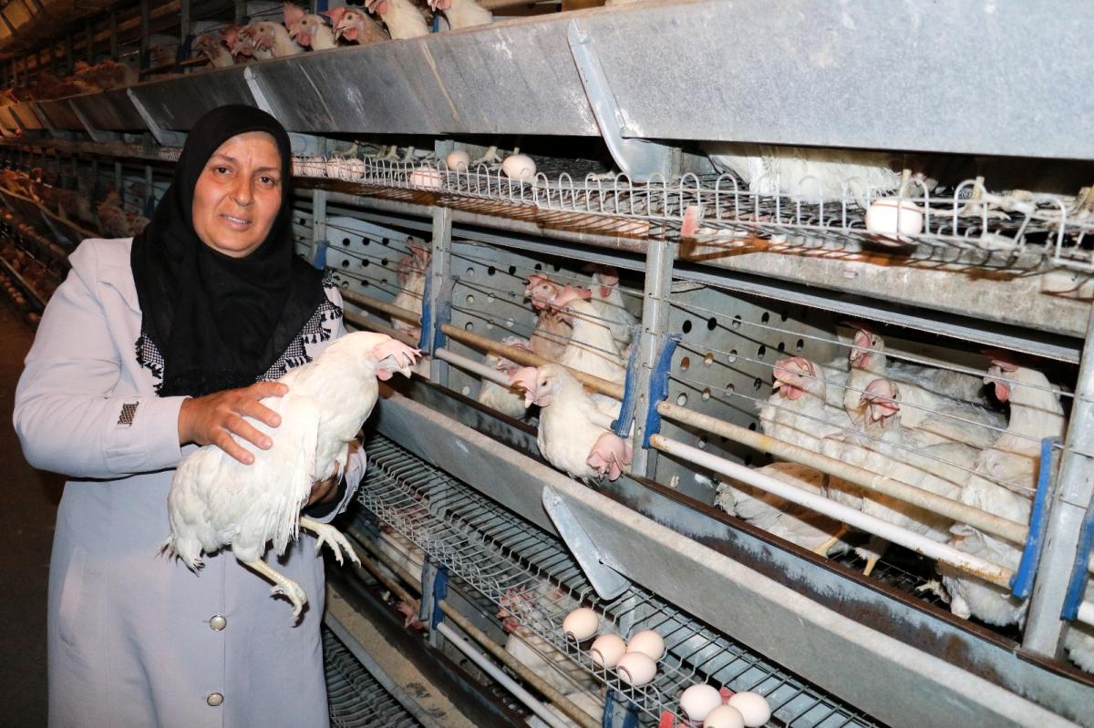 Bakan Pakdemirli tavukları telef olan kadın girişimciye verdiği sözü yerine getirdi