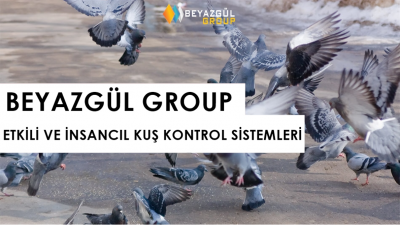 Beyazgül Group Firması İnsancıl Kuş Kovucu Ürünler İle Firmalardan Tam Not Alıyo