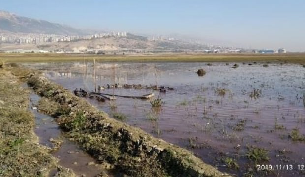 Bu görüntü harekete geçirdi: 1152 lira ceza kesildi