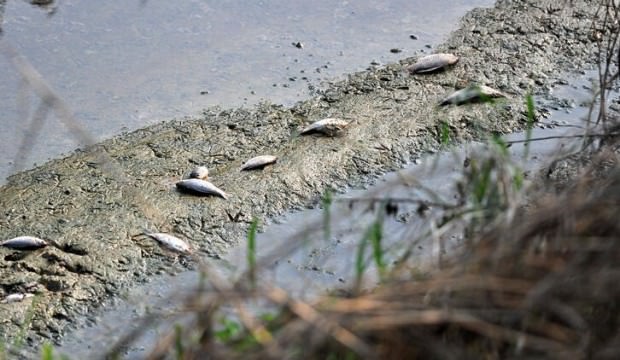 Bursa'daki korkutan görüntü ile ilgili valilikten açıklama geldi