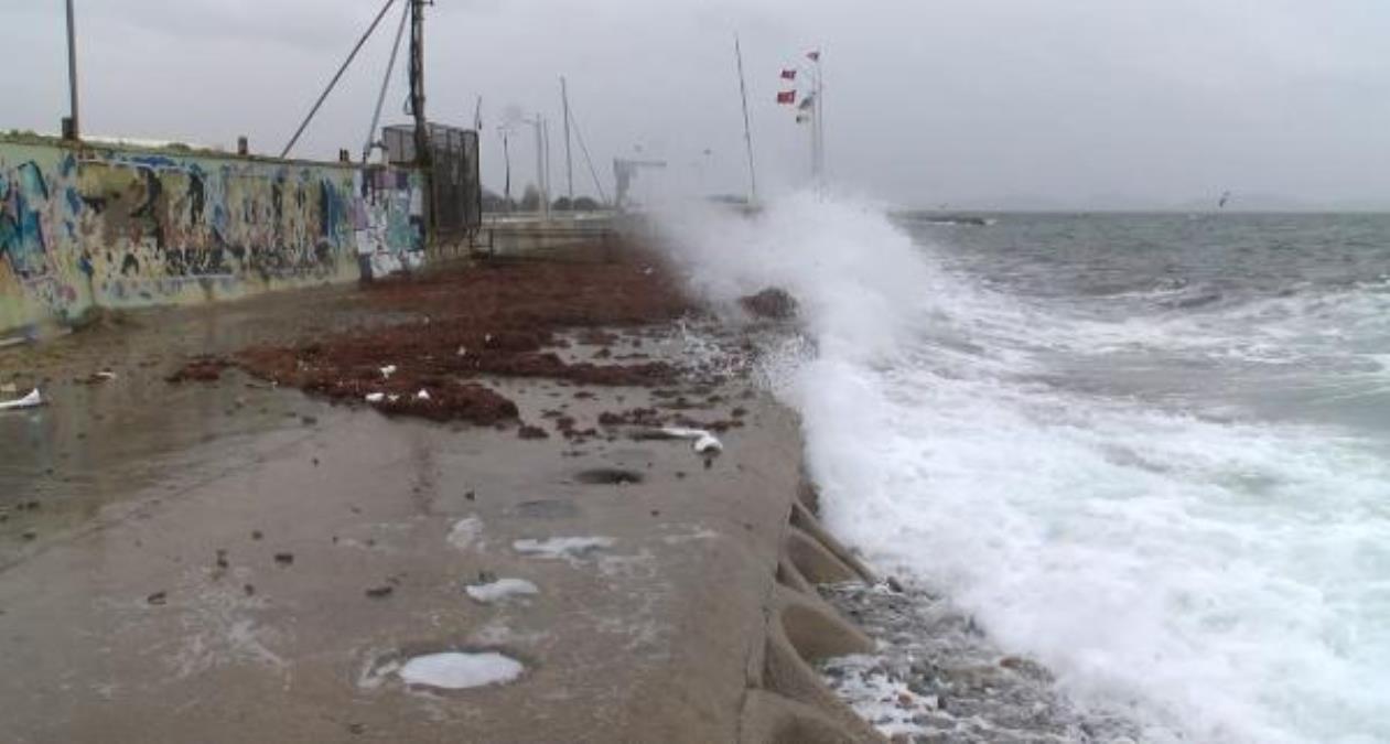 Caddebostan Sahili'ni kırmızı yosunlar sardı