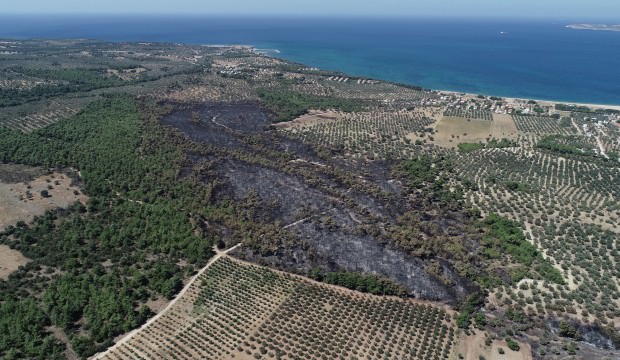 Çanakkale'de 52 yangında 222 hektar alan kül oldu