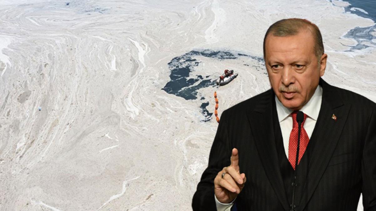 Cumhurbaşkanı Erdoğan duyurdu! Müsilaj sorununa kalıcı çözüm için stratejik plan geliyor