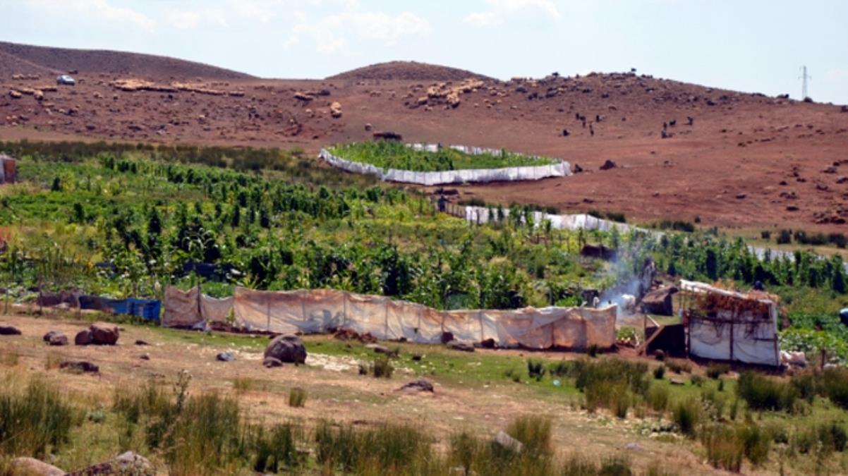 Diyarbakır'ın Şenyayla bölgesi Cumhurbaşkanı Erdoğan'ın kararıyla Muş'a bağlandı