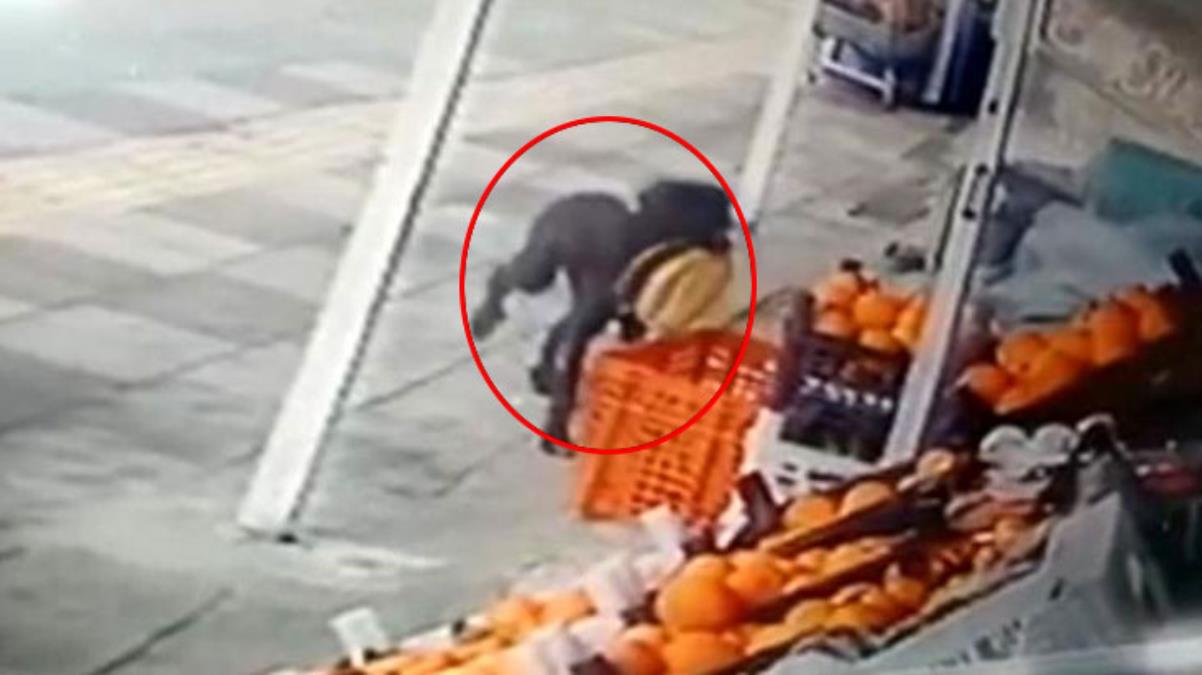 Ekmekler eksilince kamera kayıtlarını izledi, gerçek ortaya çıktı