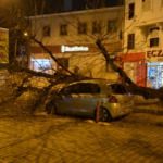 Gece yarısı korku dolu anlar... Dev ağaç otomobilin üzerine devrildi