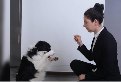 Gelişmekte Olan Pet Sektörü – Dilek Uzunyoloğlu