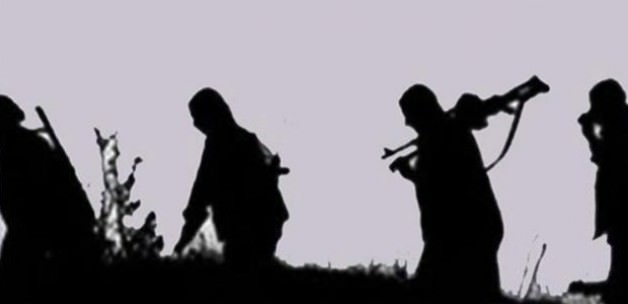 Hakkari'de PKK'lı terörist teslim oldu