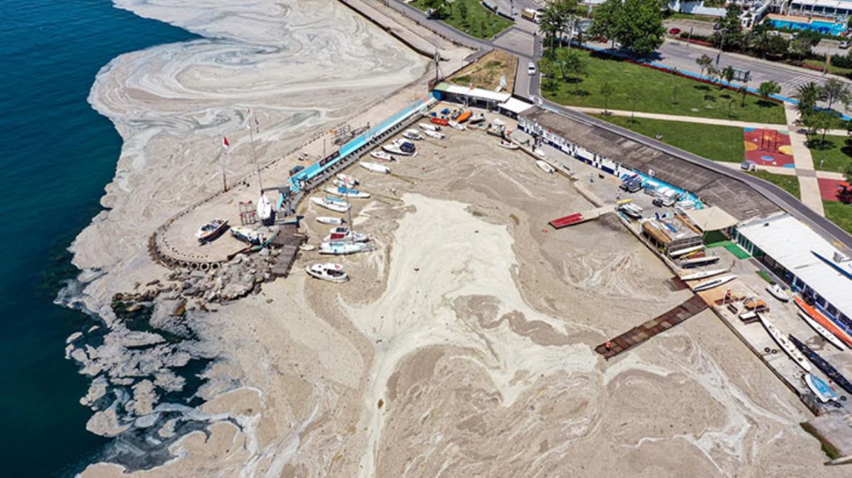 İlk müsilaj raporu yayınlandı! Marmara'nın oksijeni bitmek üzere