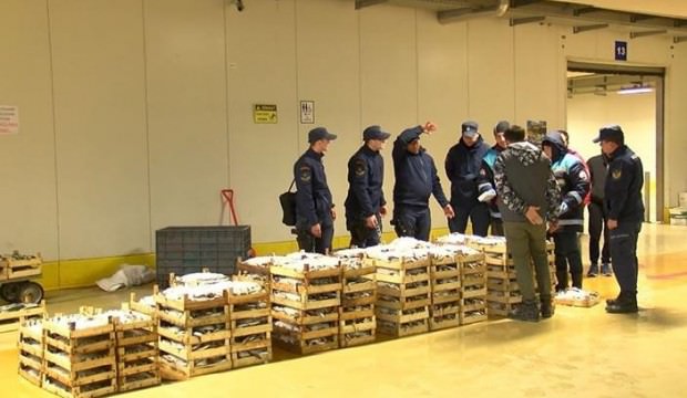 İstanbul'da balık operasyonu! 13 ton ele geçirildi