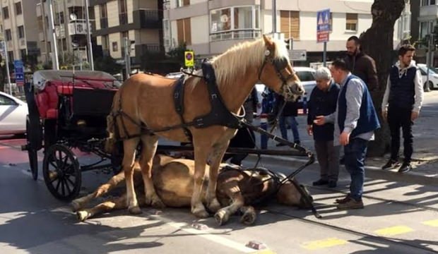 İstanbul Valiliği'nde ''fayton'' toplantısı