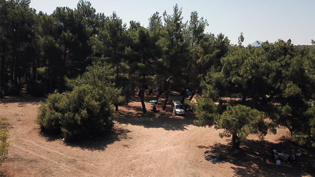 İzmir'de 1 Haziran-30 Ekim tarihleri arasında ormanlara girmek yasaklandı