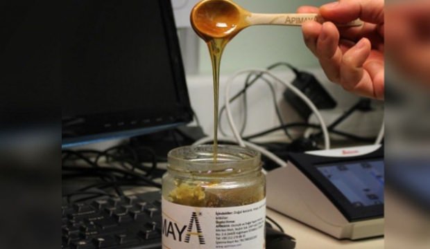 Kanserle mücadelede yeni umut: Siyah bal