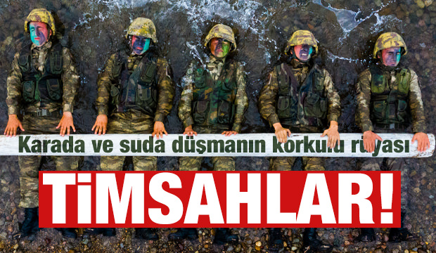 Karada ve suda düşmanın korkulu rüyası: Timsahlar