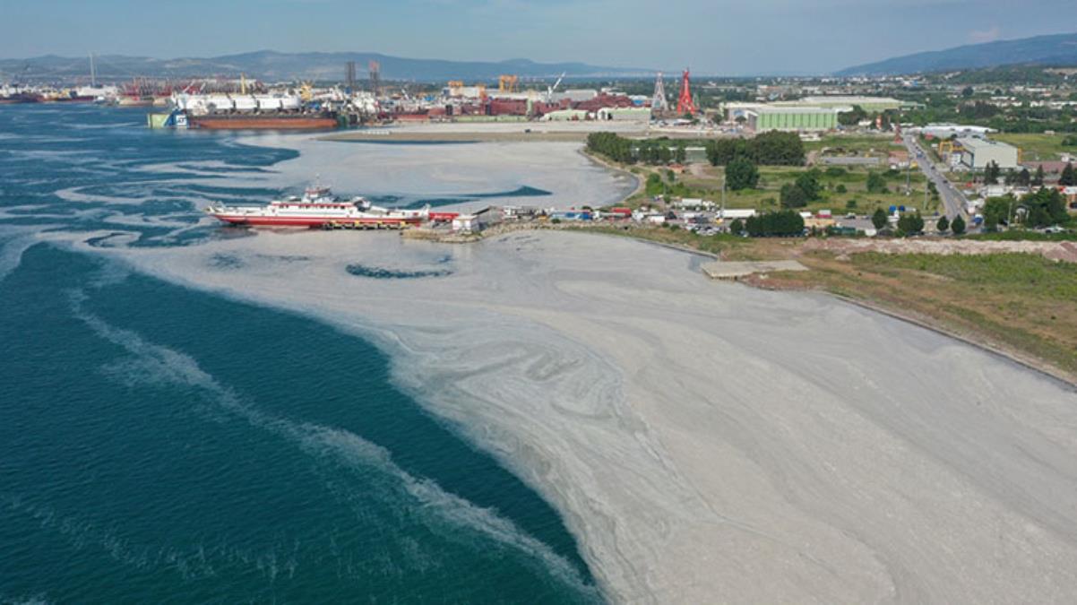 Karar Resmi Gazete'de! Meclis'te deniz salyasına yönelik bir araştırma komisyonu kurulacak