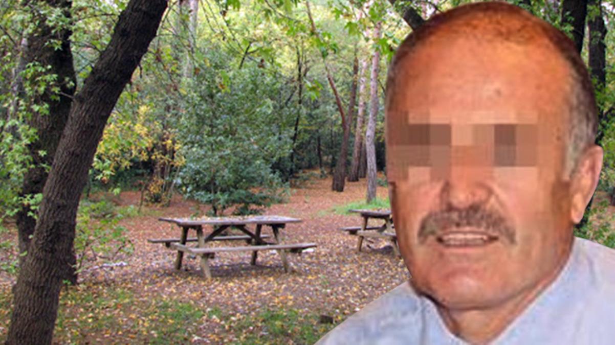 Kaymakam, ormanda kiralık araç içerisinde cinsel ilişkiye girerken basıldı