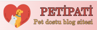 Kedi ve Köpeklerin Hamile Olduğu Nasıl Anlaşılır?