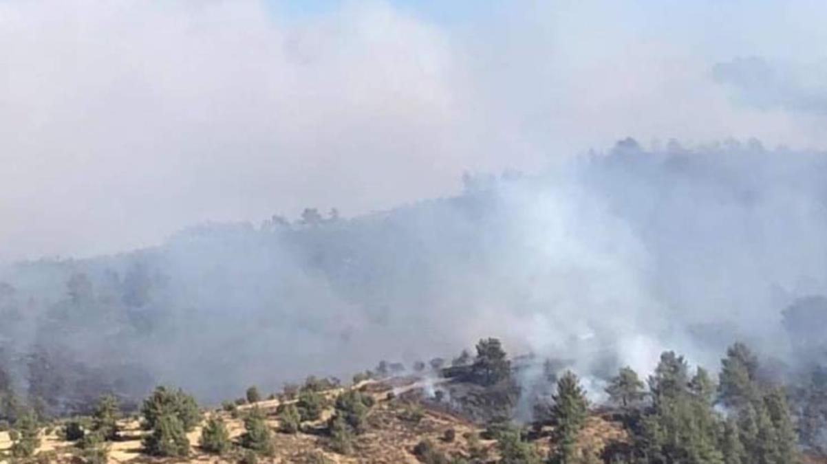 Kıbrıs Rum Kesimi'ndeki yangın kontrol altına alınamıyor