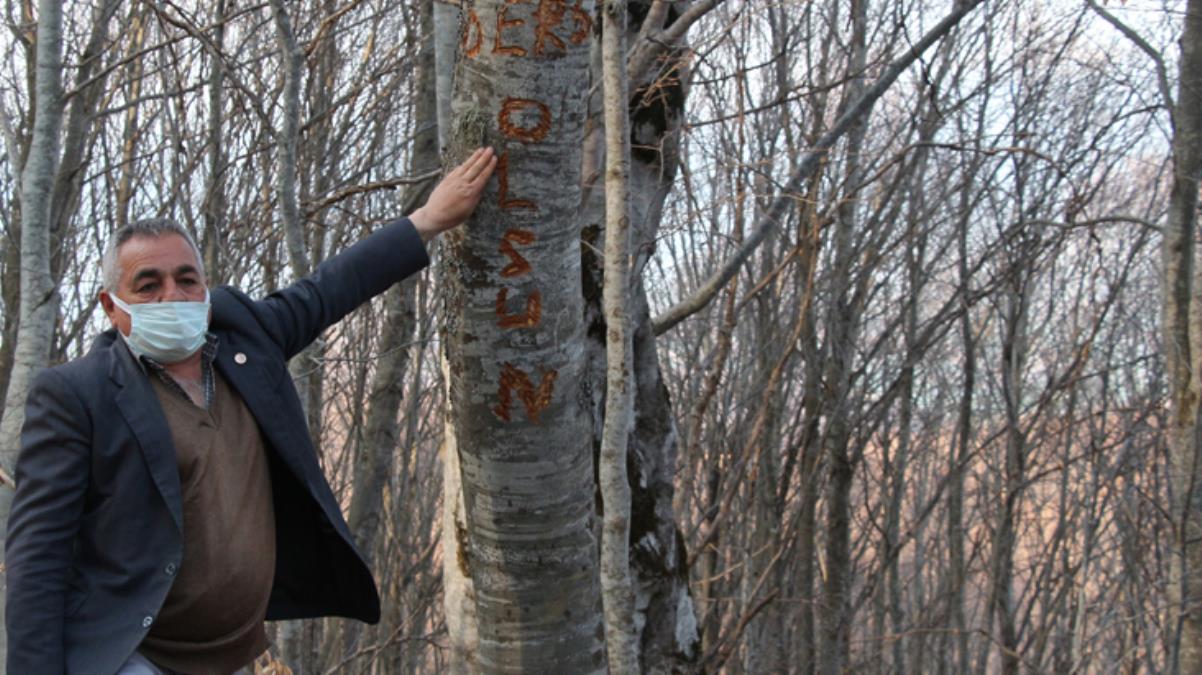 Köyde esrarengiz olay! Su borularını kırıp ağaca 'Ders olsun' yazdılar