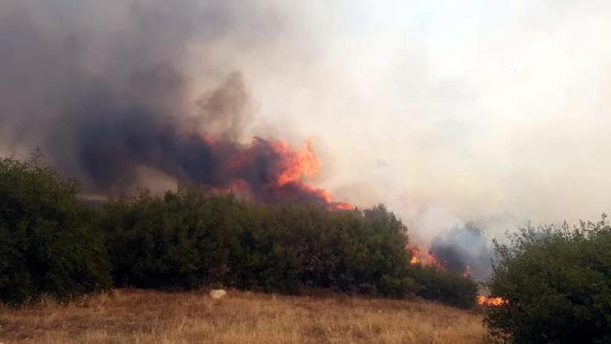 Kula'da makilik yangını ormana sıçradı