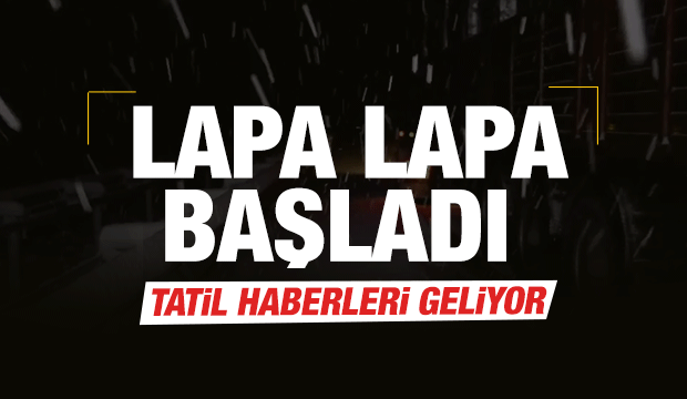 Lapa lapa başladı! Son dakika uyarısı geldi! Birçok ilde okullar tatil edildi