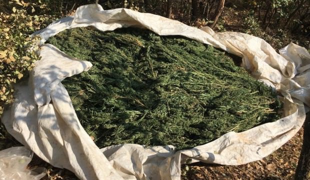 Lice'de PKK'ya 'Narko-terör' darbesi! Tam 4 ton
