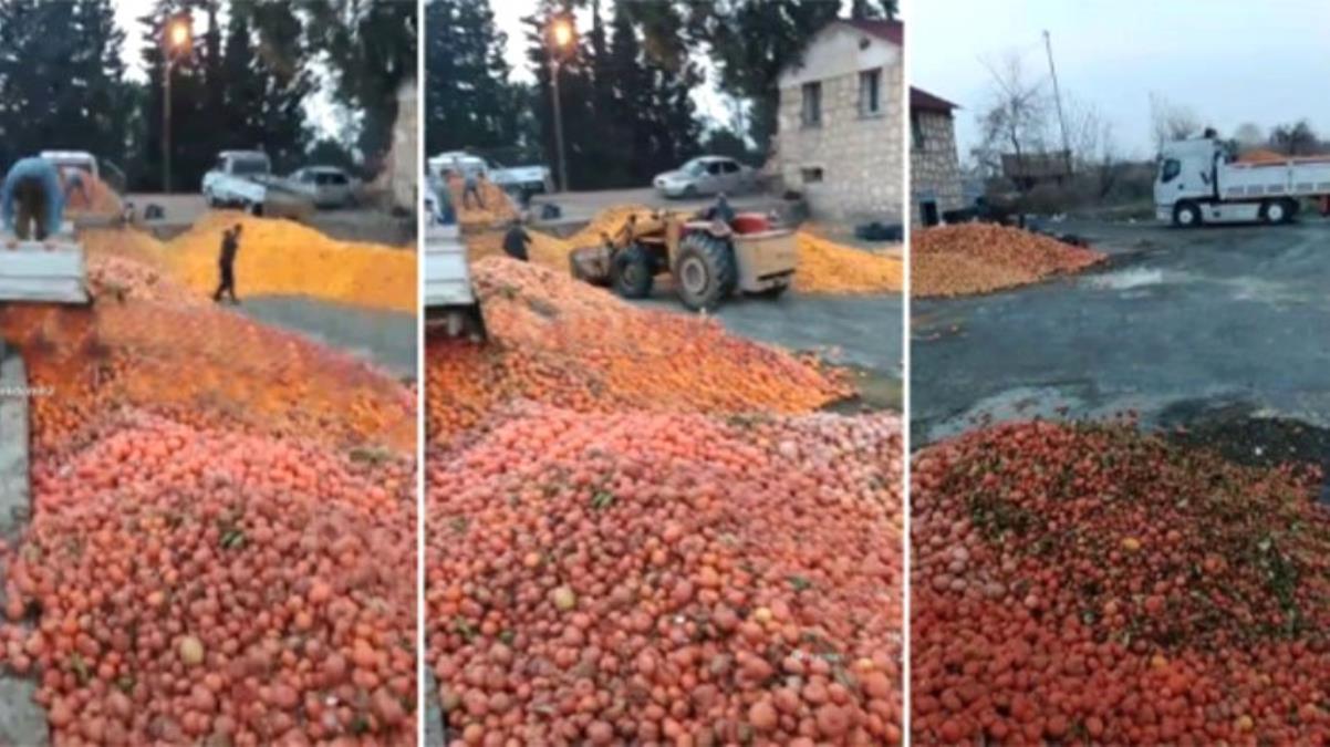 'Meyve suyu içmeyin' diyerek paylaşılan video yetkilileri harekete geçirdi! Adana İl Tarım ve Orman Müdürlüğü iddiayı yalanladı
