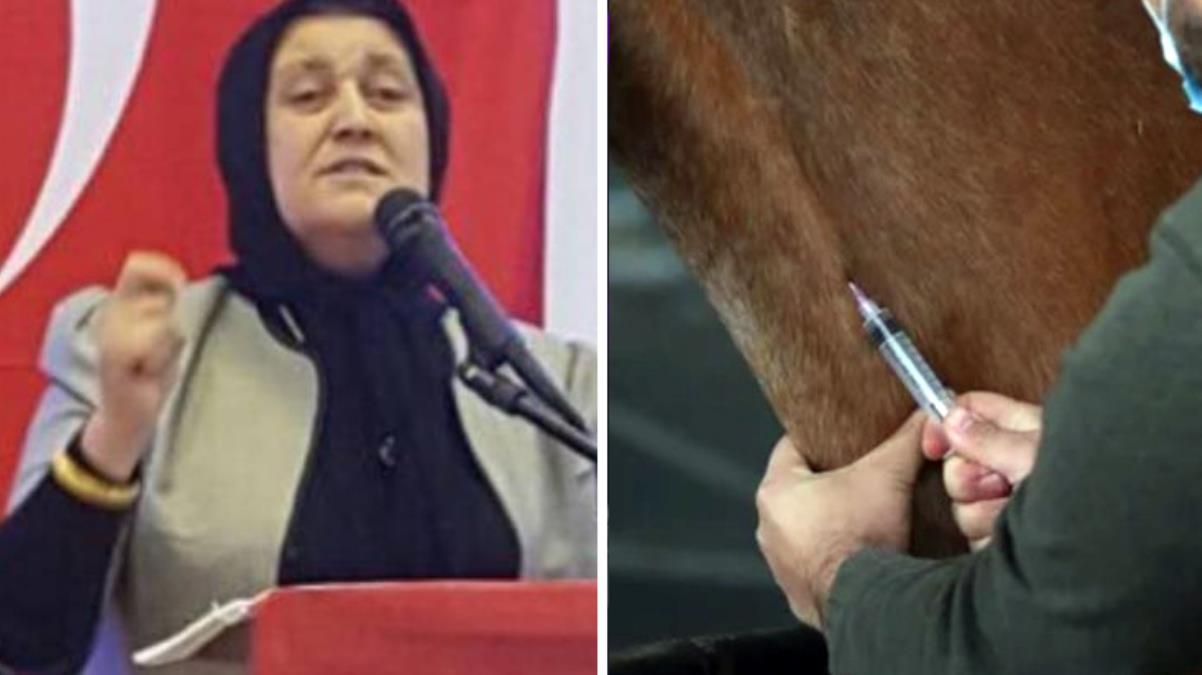 MHP eski milletvekili Nesrin Ünal'dan koronaya karşı bir garip öneri: Yılan zehrini at serumuyla karıştırın