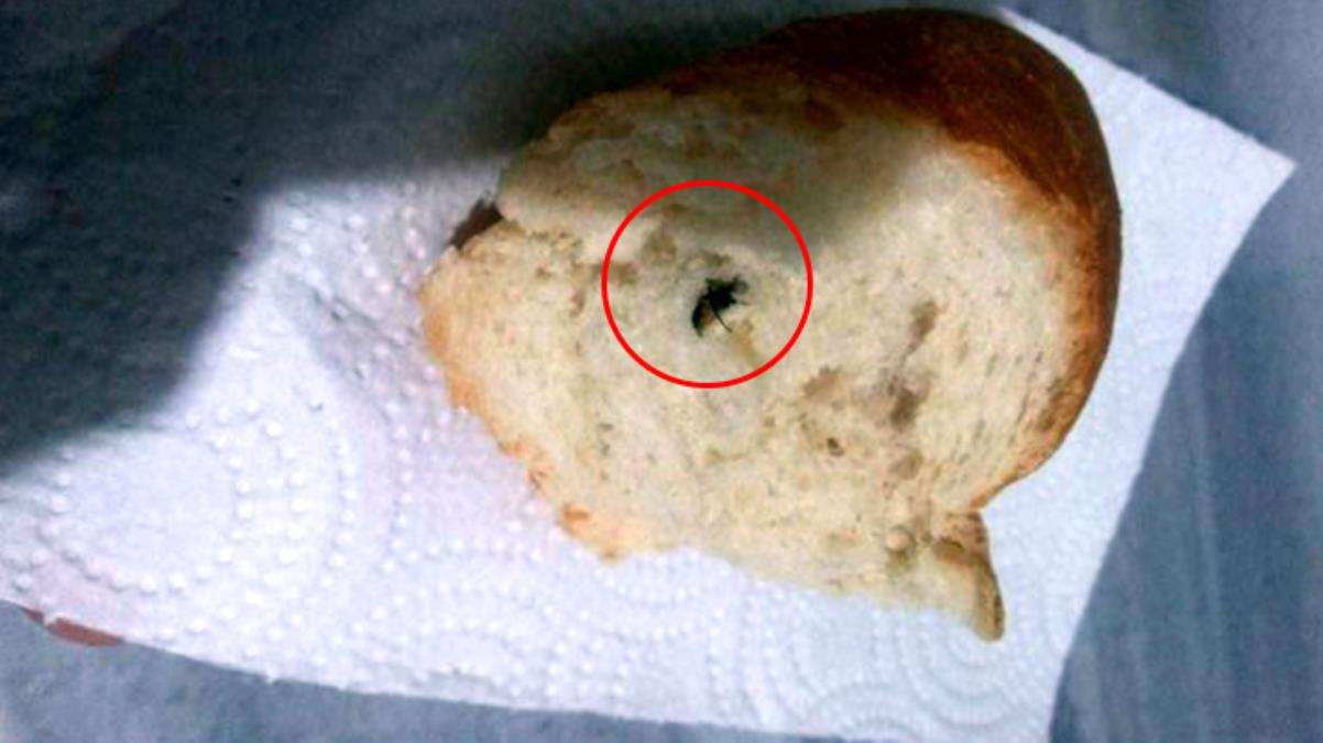 Mide bulandıran olay Marketten aldığı ekmeğin içinden sinek çıktı