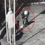 Nefessiz kalan köpeği kalp masajıyla hayata döndürdü