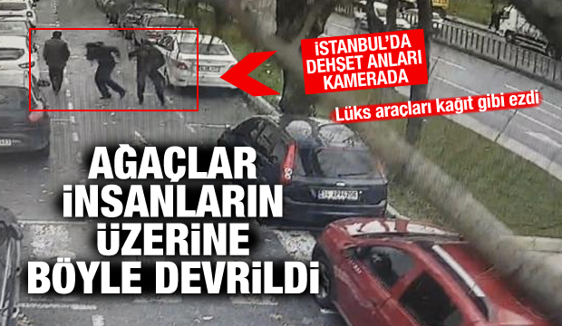 Okmeydanı'nda ağaç araçların üzerine devrildi