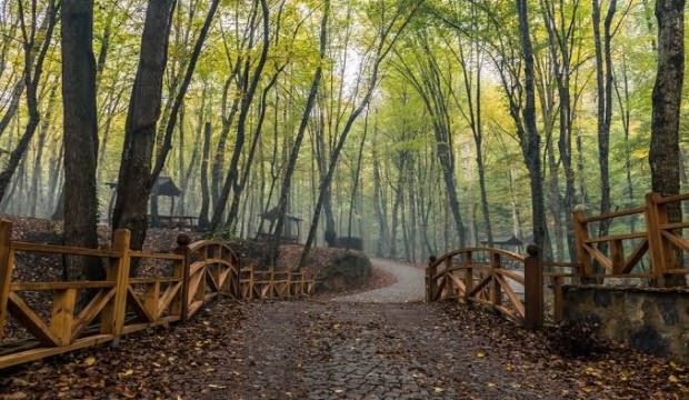 Ormanda çöp bırakanlara yaptırım talebi