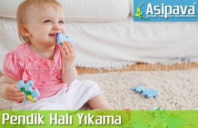  Pendik Halı Yıkama