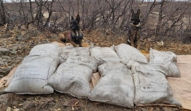 PKK'ya büyük darbe! Tam 450 kilo...