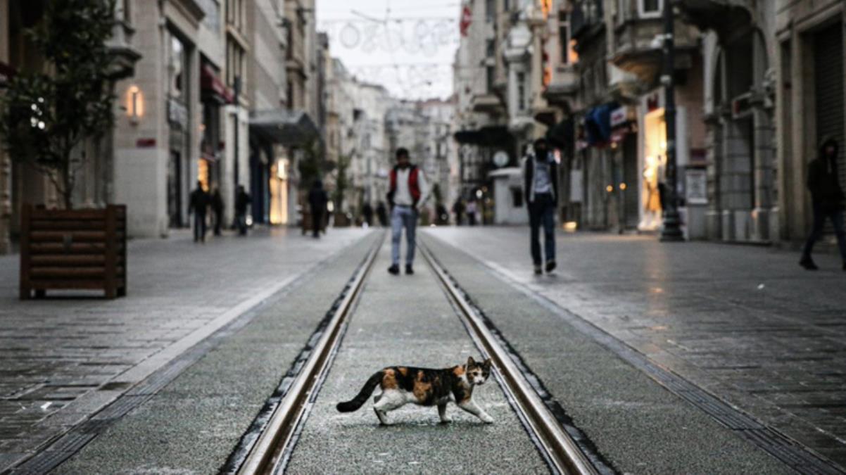 Risk haritasında kırmızı illerin sayısının 39'a çıkması uzmanları tedirgin etti: Türkiye tamamen kapanabilir