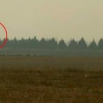 S-400'ler harekete geçti, ABD'de panik başladı! Skandal sözlere yanıt