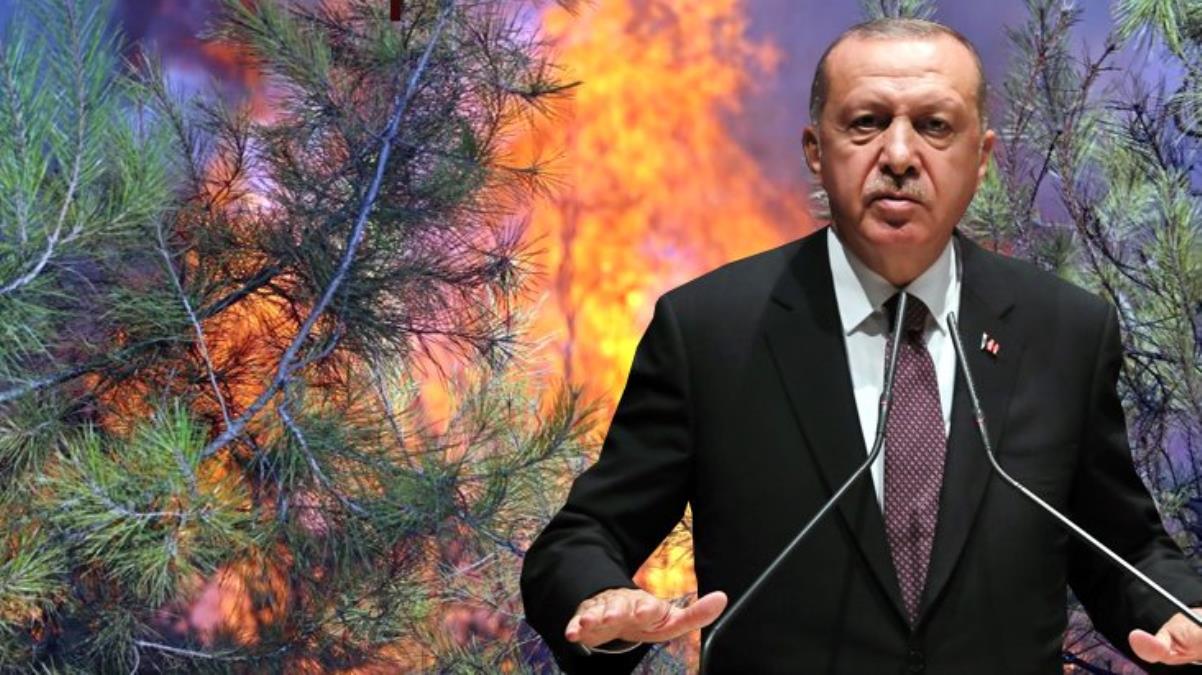 Son Dakika! Cumhurbaşkanı Erdoğan'dan yangınlarda sabotaj iddialarına yanıt: Soruşturmalar yoğun şekilde devam ediyor