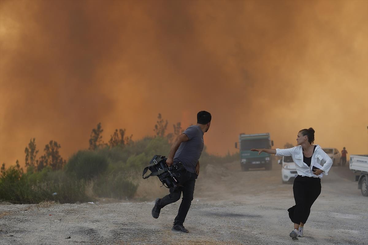 Son Dakika: Türkiye'de 28 Temmuz itibarıyla başlayan büyük orman yangınlarının tümü kontrol altına alındı