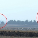 Son Dakika: Ve ilk görüntüler! Türkiye S-400'leri ilk kez test etti