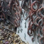 Sultangazi'de kokmuş ve küflenmiş ürünleri satmak isteyen kişi yakalandı