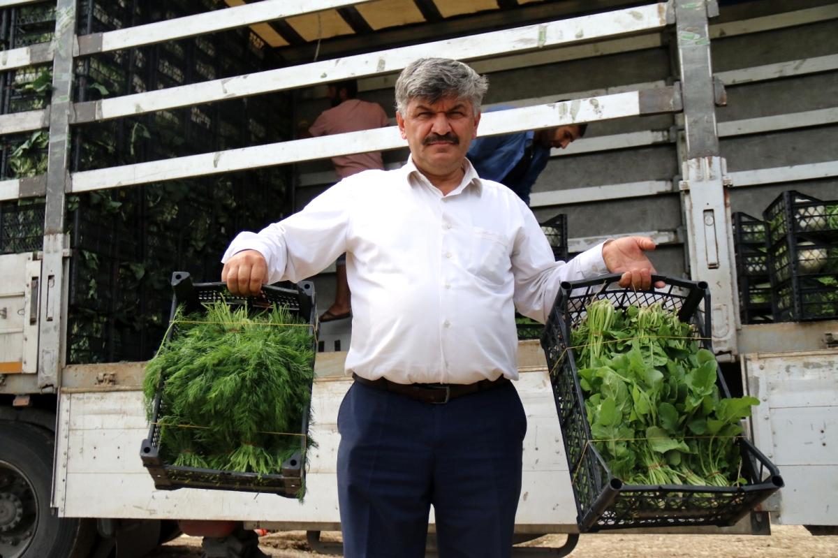 Tarladan ucuza alınan sebzede fahiş fiyatlar tüketiciyi mağdur ediyor