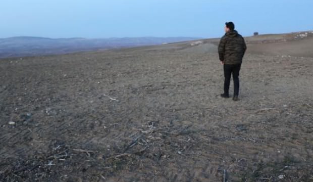 Tarlasında buldu banka kasasında saklıyor