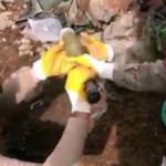 Van'da PKK'ya ağır darbe